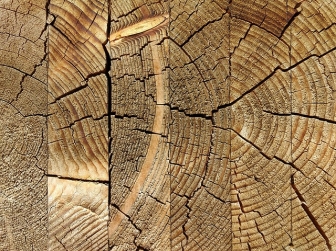 Rodzaje drewna klejonego